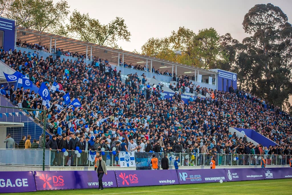 სახლში დაბრუნება